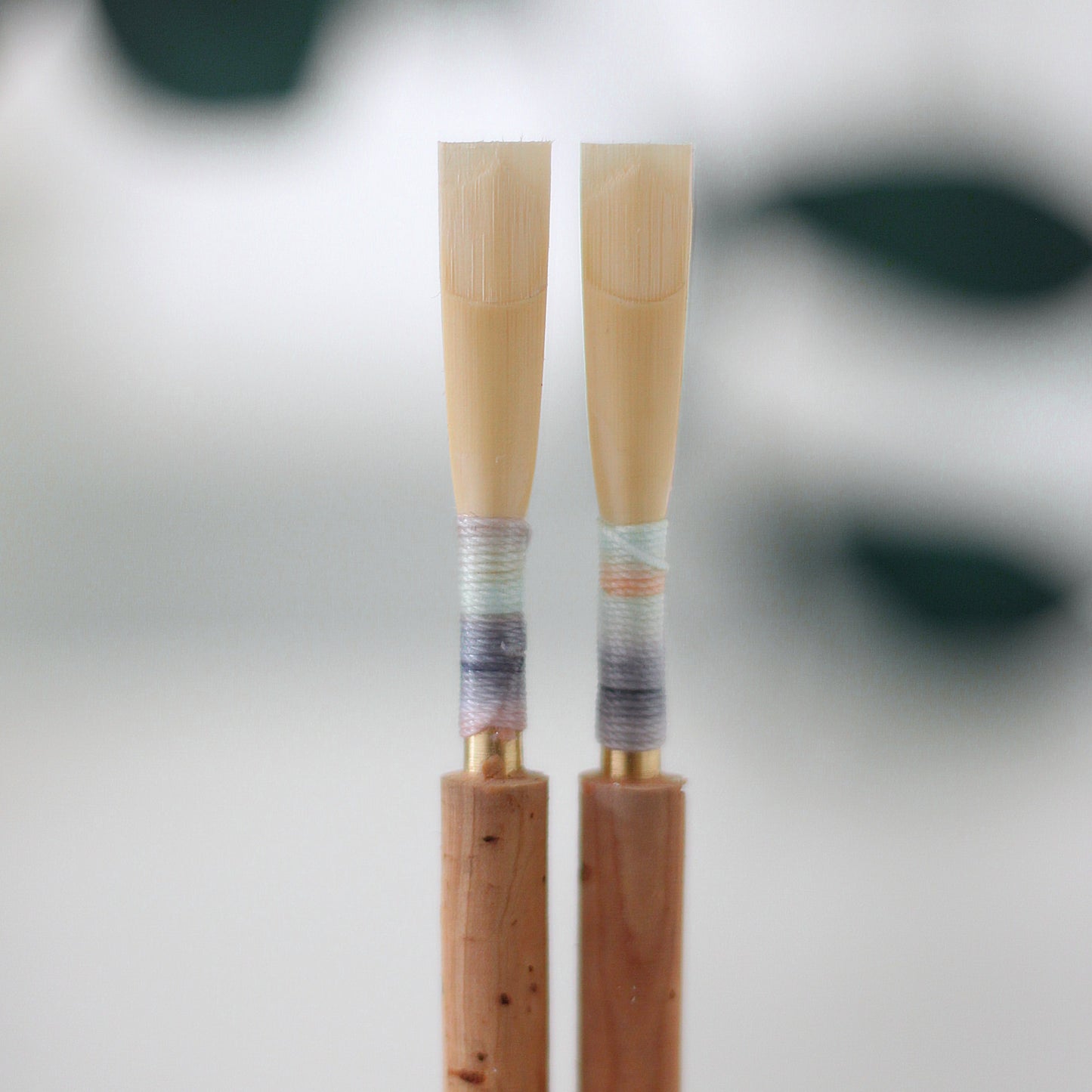 Professional Oboe Reed