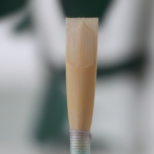 Student Oboe Reed