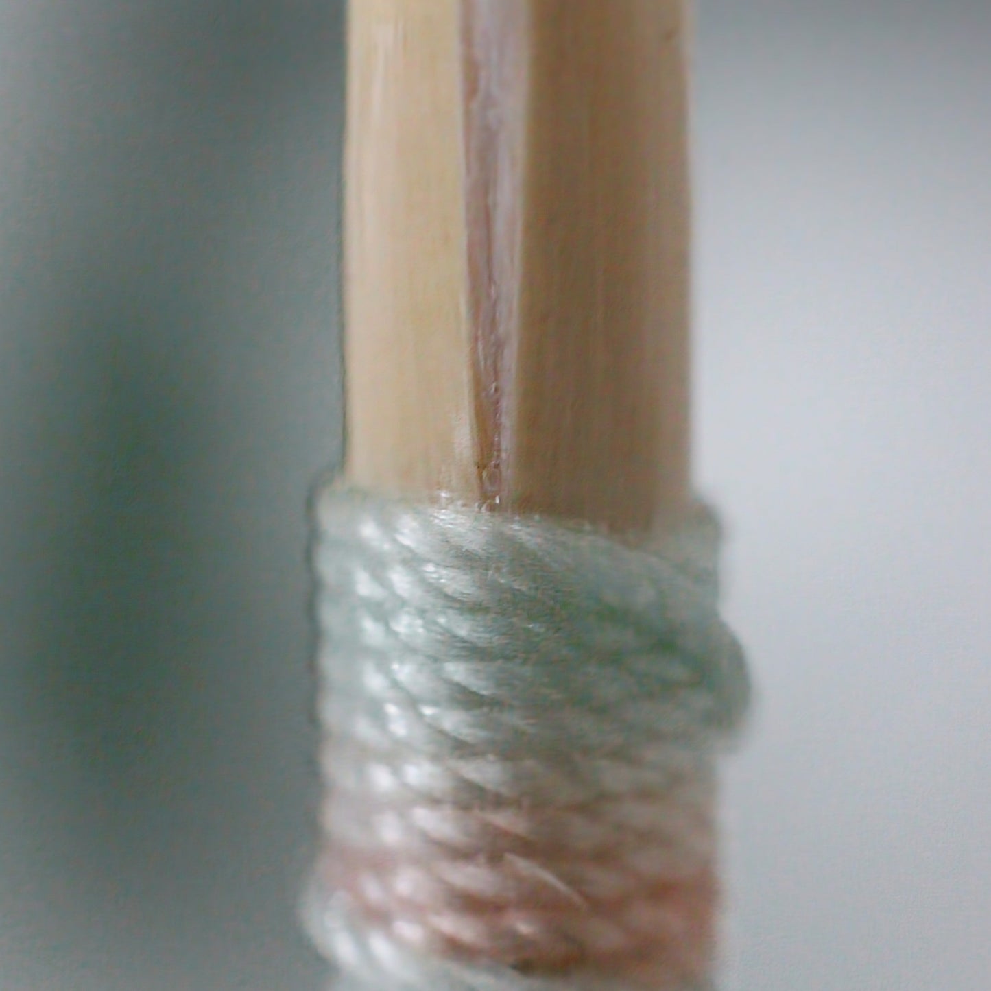 Professional Oboe Reed