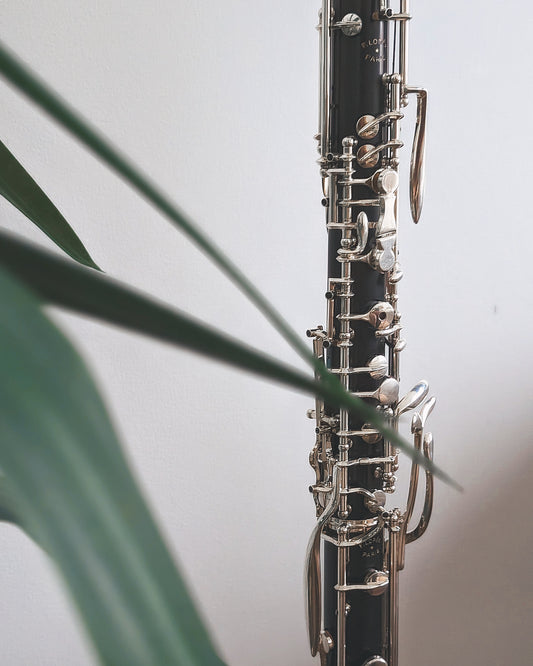 Online lesson - 45 min