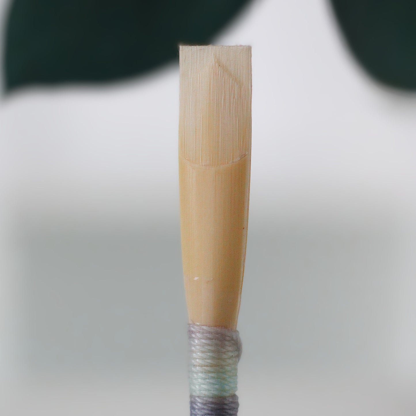 Professional Oboe Reed