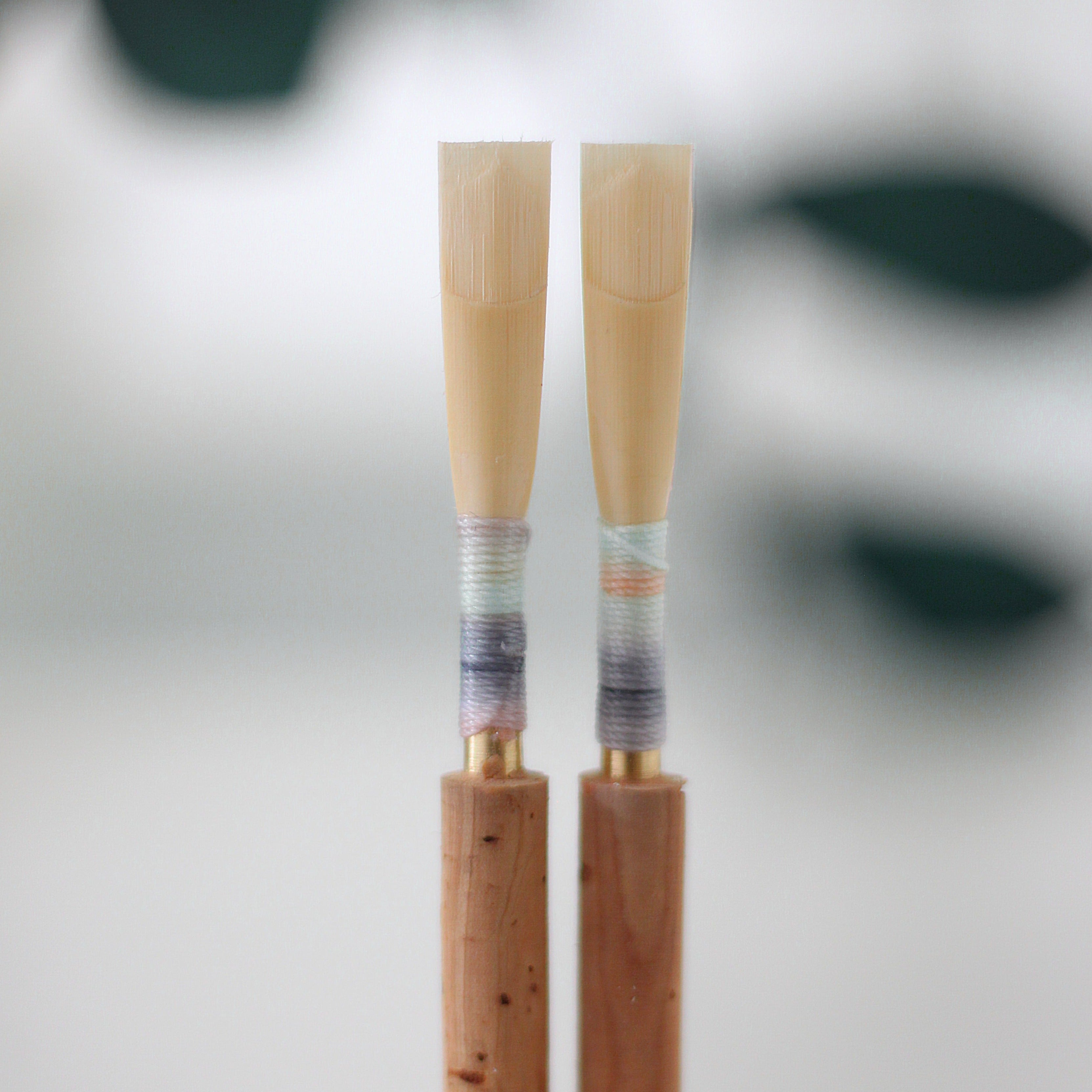 Professional Oboe Reed – oboi.st