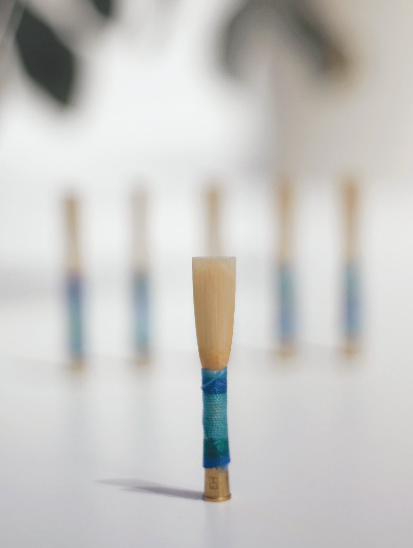 Baroque oboe reed